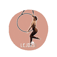 lejdis_studio_lodz_jaracza poledance aerial pole dance aerialhoop Sticker