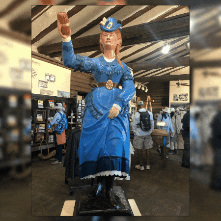 corycarnleygainesville giphygifmaker giphyattribution GIF