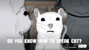 season 3 cat GIF by Animals