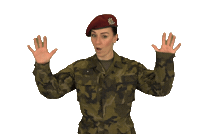 armadaceskerepubliky stop wait army czech Sticker