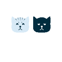oscarandlibbys cats oscarandlibbys oscar and libbys Sticker