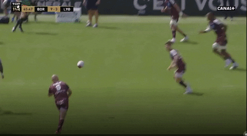 thibperrin giphyupload GIF