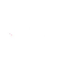 Drift Drifting Sticker by ALUTEC Wheels