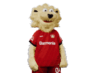 Bayer 04 Time Sticker by Bayer 04 Leverkusen