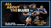 GIF by PRO14Official