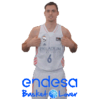 Vamos Real Madrid Baloncesto Sticker by Endesa Basket Lover