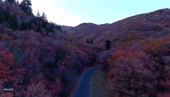Sun Sets on Fall Foliage in Utah's Butterfield Canyon