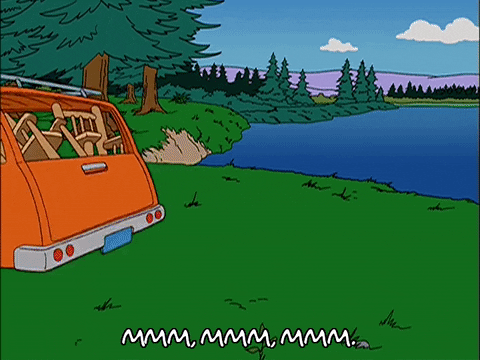 homer simpson episode 13 GIF