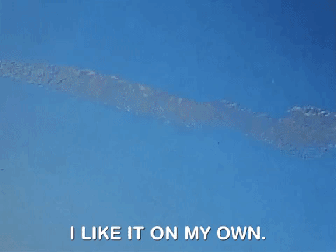 rockos modern life nicksplat GIF