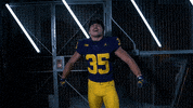 Go Blue Ncaa Football GIF by Michigan Athletics