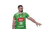 Handball Reverse Sticker by GWD Minden Handball-Bundesliga GmbH & Co.KG