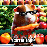Carrot Top Shopping GIF by Guinea Gambino