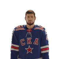 Ice Hockey Sport Sticker by SKA Ice Hockey Club