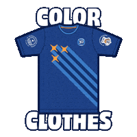 Santa Teresa Color Sticker by Saint Theresa Bilingual School