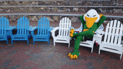 Alumni Gulls GIF by Endicott College