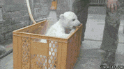 shower GIF