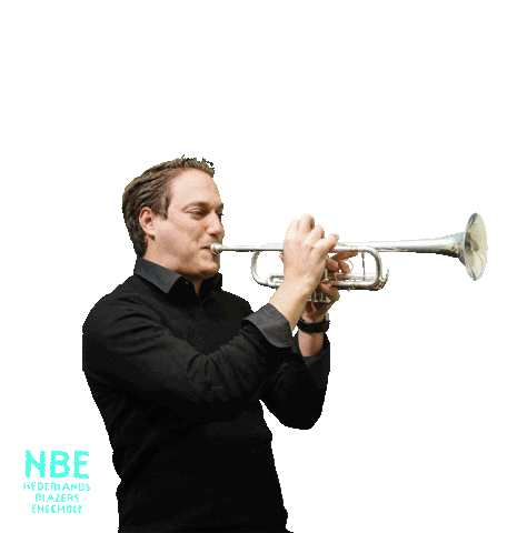 Party Trumpet Sticker by deblazers