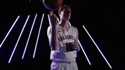 Purple Aces Evansville GIF by UE Athletics