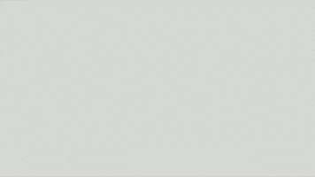 season 1 cats GIF by Animals