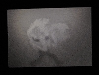 GIF by Neil Sanders