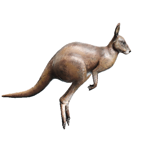 visitnoosa yoga fishing hiking koala Sticker