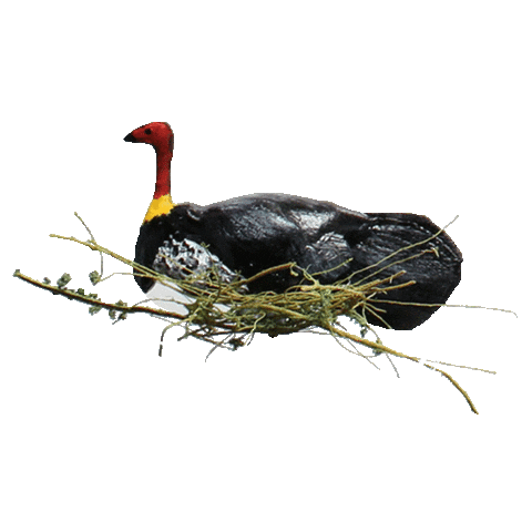 visitnoosa yoga fishing hiking koala Sticker