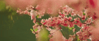 Music Video Dancing GIF by Netta