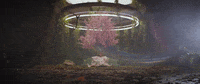 Music Video Dancing GIF by Netta