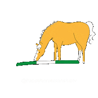 Horses Horseriding Sticker by Happy Horsemanship TV