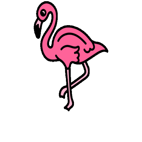 Pink Miami Sticker by caracaraNYC