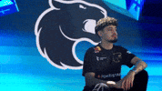 Esports Brazil GIF by BLAST