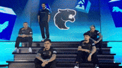 Team Esports GIF by BLAST