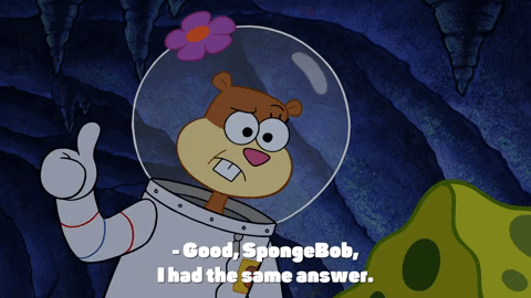 season 10 episode 3 GIF by SpongeBob SquarePants
