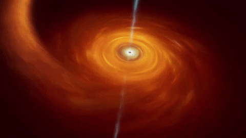 giphyupload GIF