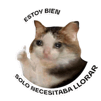 Cat Crying Sticker