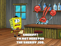 season 5 GIF by SpongeBob SquarePants