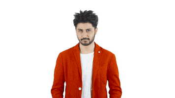 GIF by Arjuna Harjai