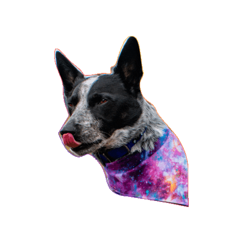 Cattle Dog Tongue Out Sticker by Geekster Pets