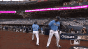 Major League Baseball Sport GIF by MLB