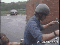 dog ride GIF