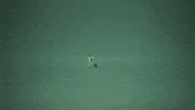 Multitude GIF by Stromae