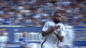 Football Soccer GIF by FC Schalke 04