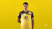 Borussia Dortmund Football GIF by Bundesliga