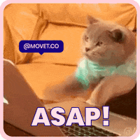 Movet pets mascotas mascota asap GIF