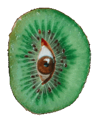 Kiwi Te Veo Sticker by Nilo del Monte