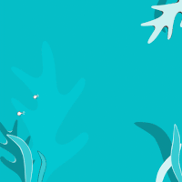 animation design GIF