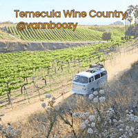 Vw Temecula GIF by vannboozy