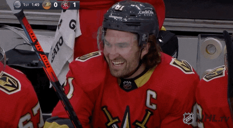 Regular Season Sport GIF by NHL