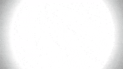 balling shot caller GIF by Baller Alert