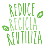 BEKINDSTOREMX eco ecology bekind ecostore Sticker